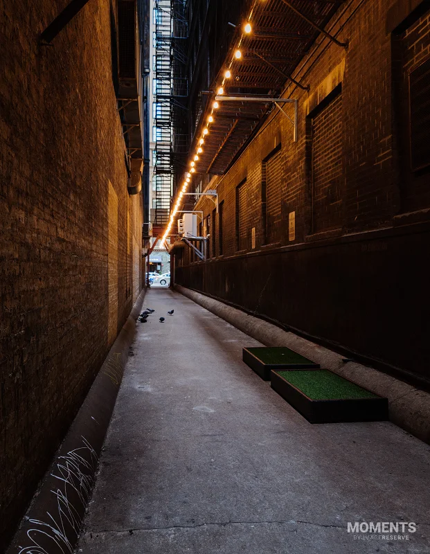 String Lights in a Chicago Alleyway