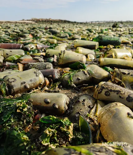 Old Glass Bottles and Debris on Dead Horse Bay Beach