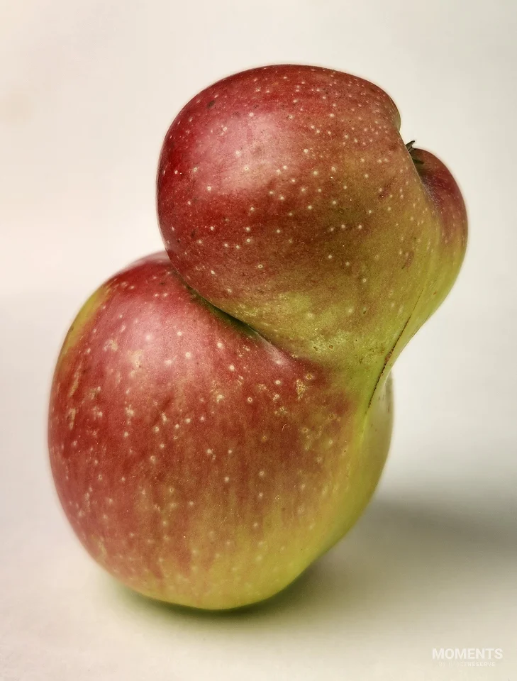 A Twin Apple Showcasing Fasciation