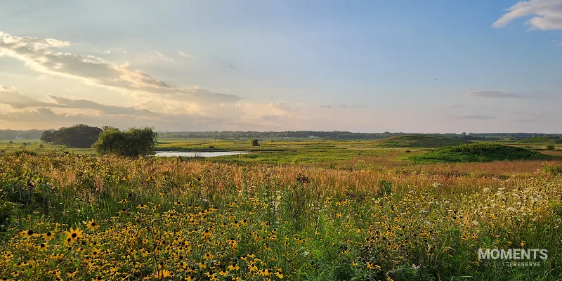 Prairie Landscape at Glacial Park Conservation Area