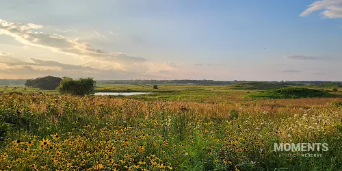 Prairie Landscape at Glacial Park Conservation Area