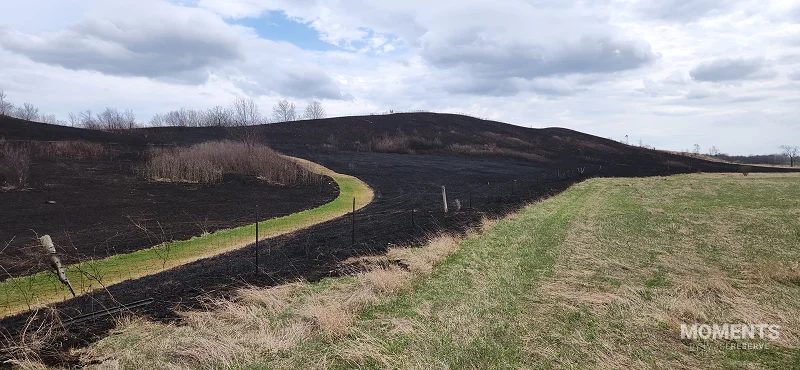 Prescribed Burn at Glacial Park