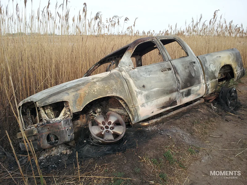 Burned pickup truck abandoned at Gerritsen Creek