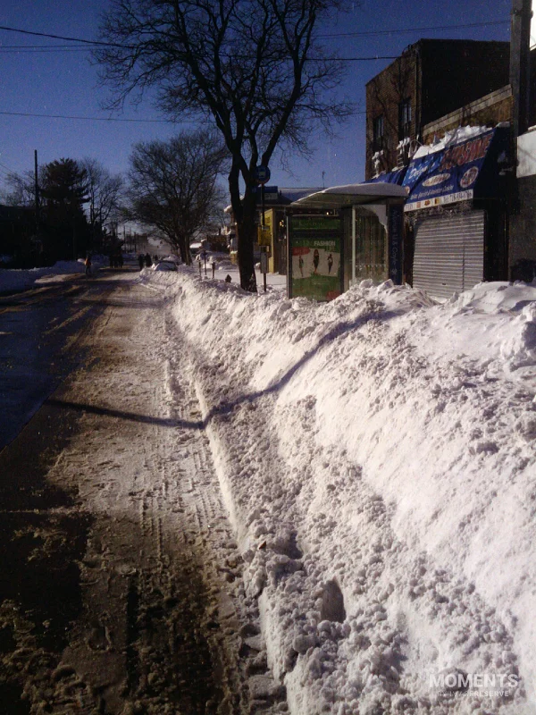 Blizzard 2010 in Brooklyn